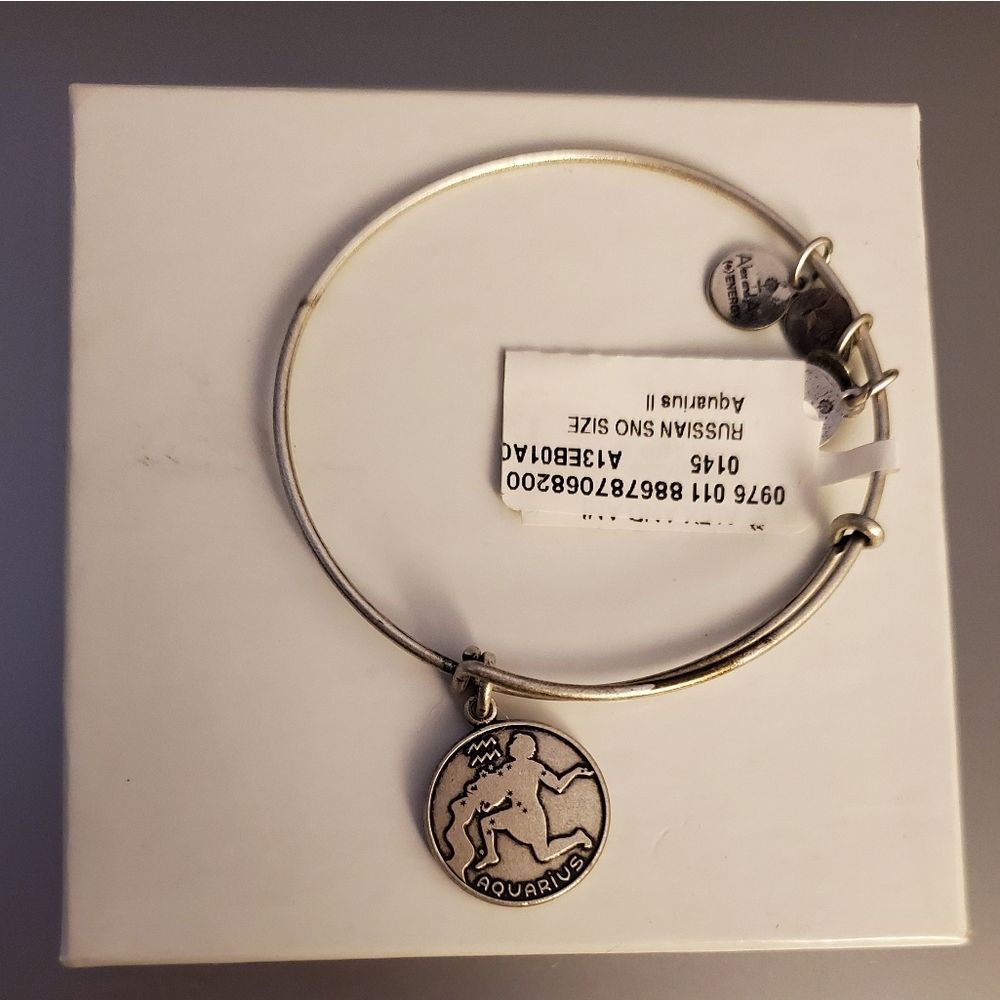 Alex and Ani Aquarius bracelet